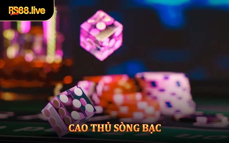 Cao Thủ Sòng Bạc Bật Mí 4 Chiến Lược Bất Bại Dành Cho Người Mới