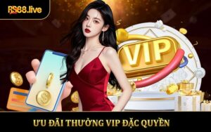 Ưu Đãi Thưởng VIP - Đặc Quyền Dành Cho Thành Viên Tại RS88